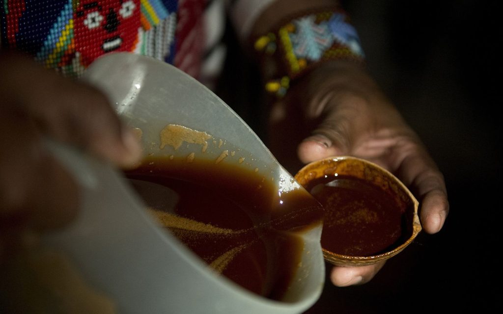 Ayahuasca retreat in Australia