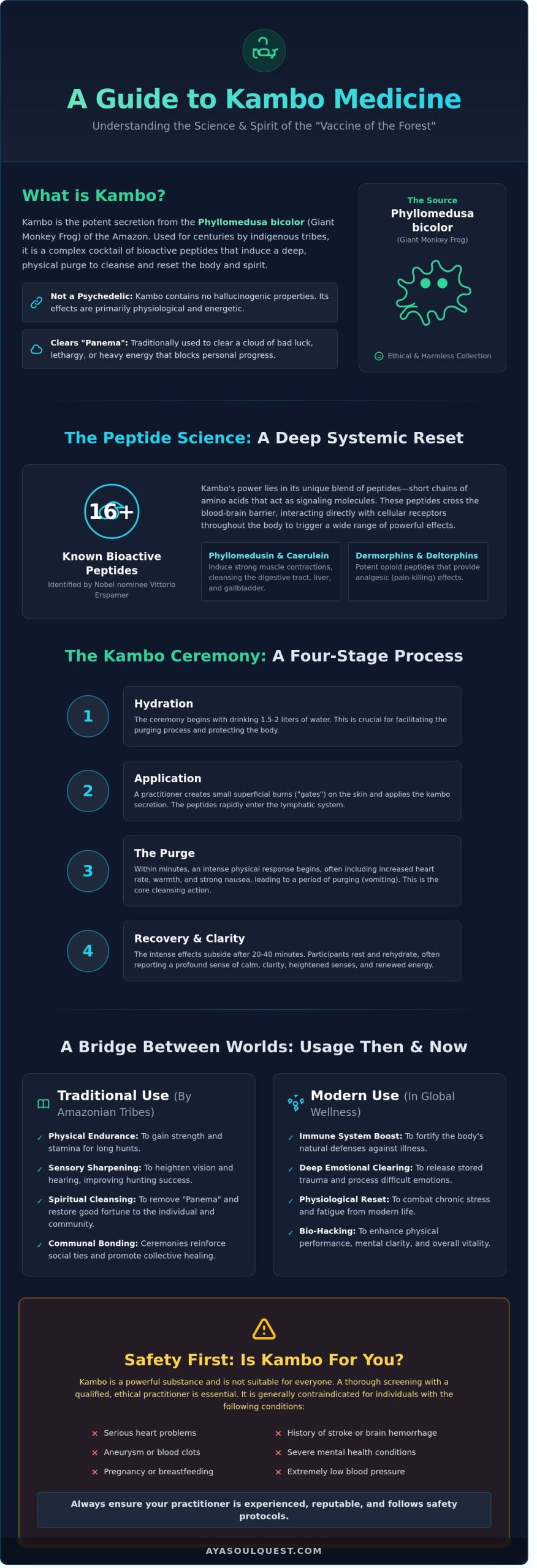 Kambo Medicine: A Comprehensive Guide to the Amazonian "Vaccine of the Forest"